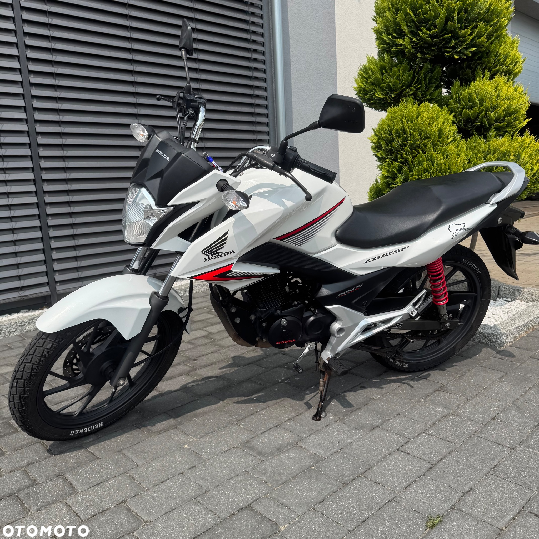 Honda CBF - 7