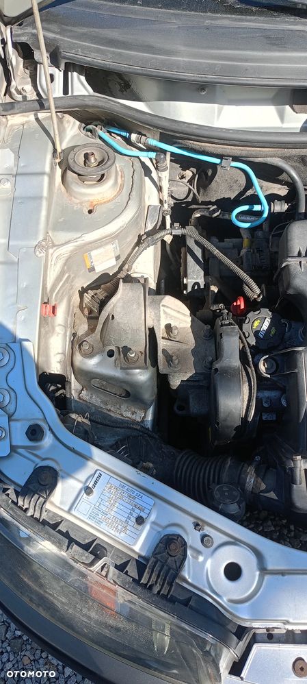 Fiat Punto 1.2 16V Dynamic - 20