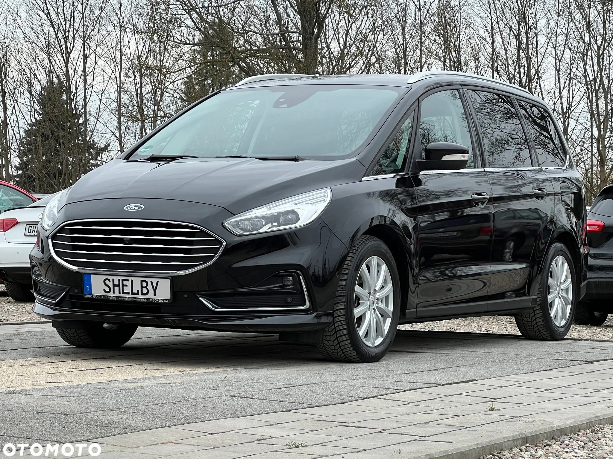 Ford Galaxy 2.0 EcoBlue S&S TITANIUM - 2
