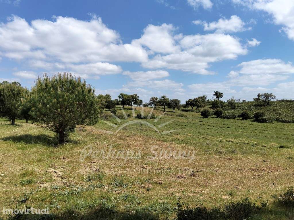 Propriedade de 6.4 hectares Santa Margarida da Serra - Grande imagem: 5/38