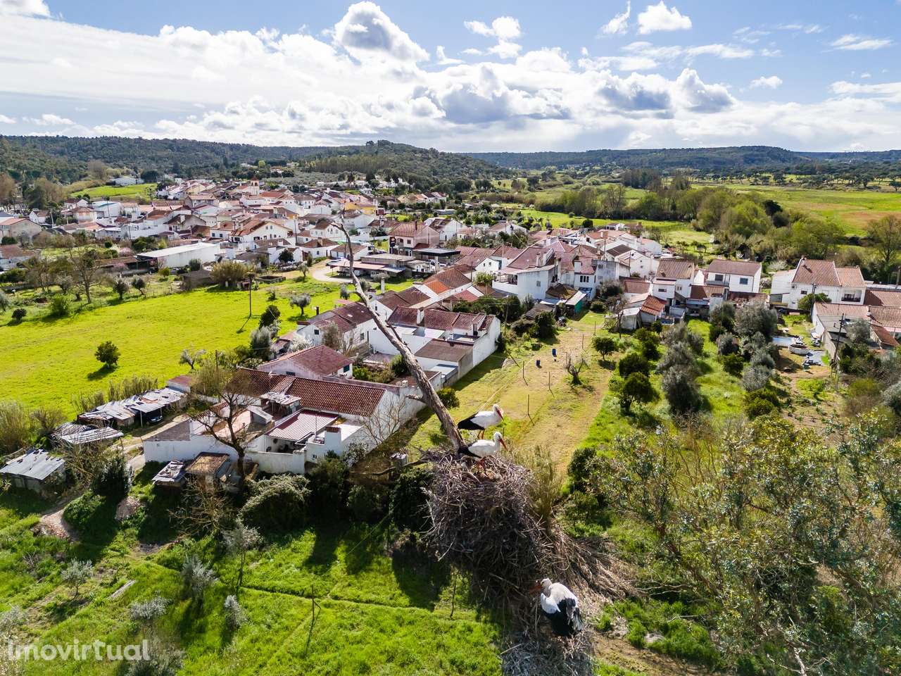 MORADIA T1 + ANEXOS E TERRENO | BEMPOSTA | ABRANTES - Grande imagem: 5/48