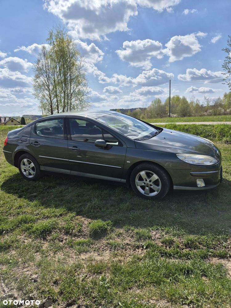Peugeot 407 HDi 110 Esplanade - 29