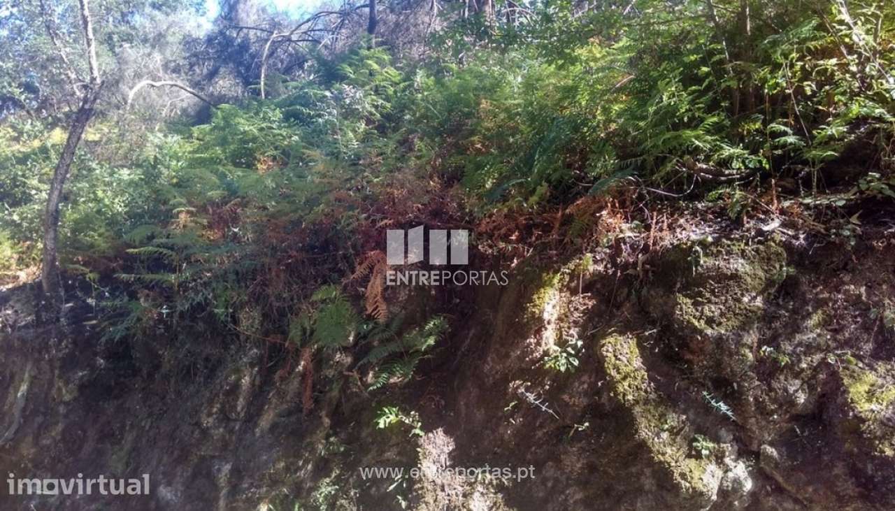 Venda Terreno, Soalhães, Marco de Canaveses - Grande imagem: 2/8
