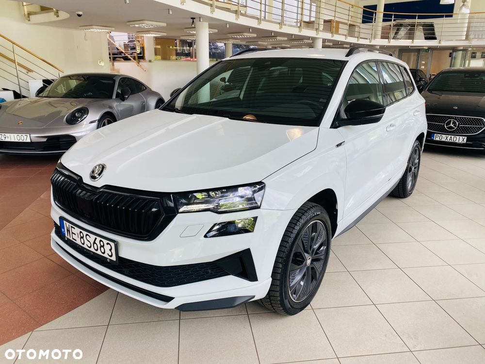 Skoda Karoq - 13