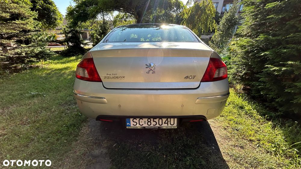 Peugeot 407 - 4