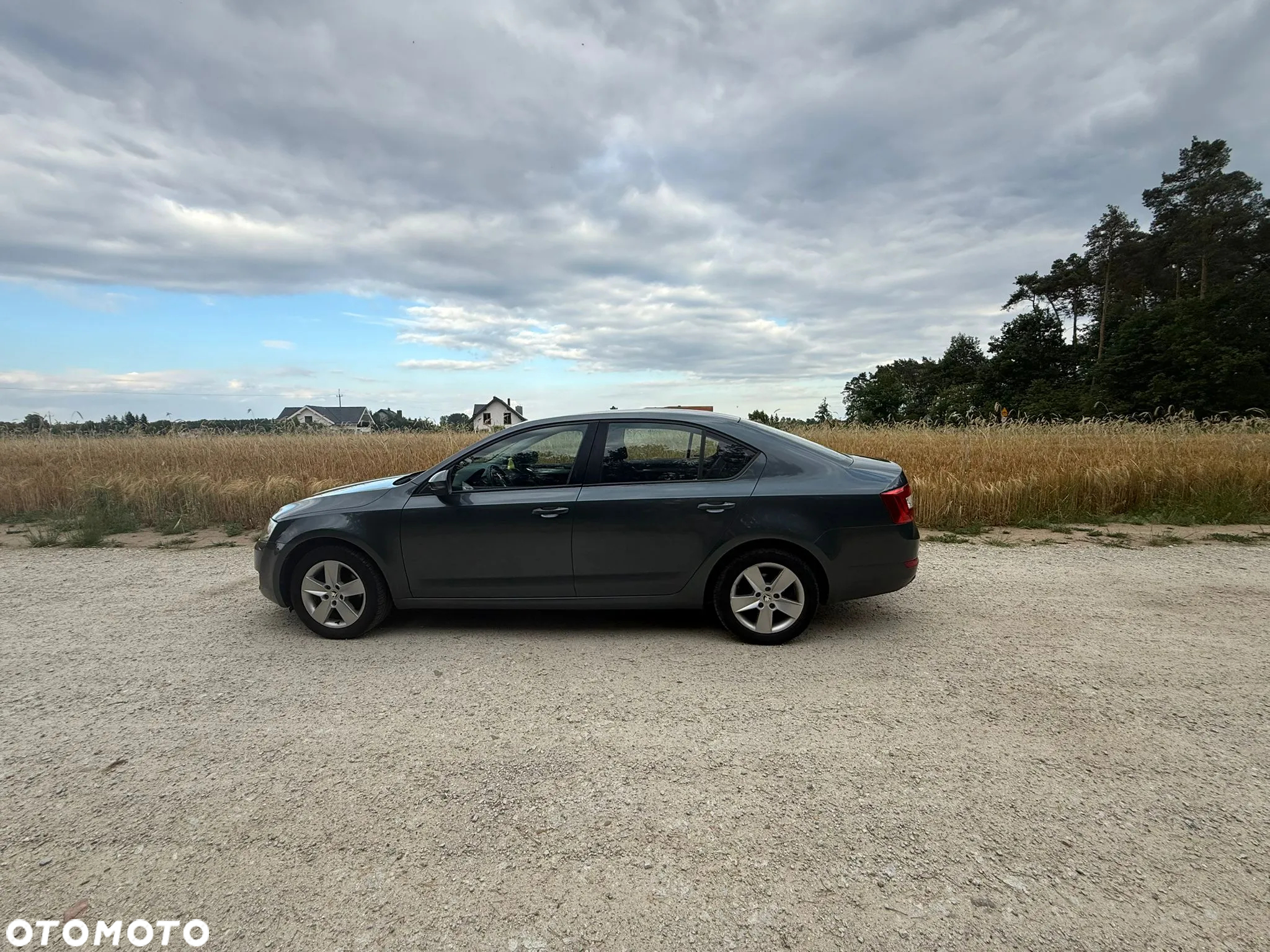 Skoda Octavia 1.4 TSI Ambition - 3