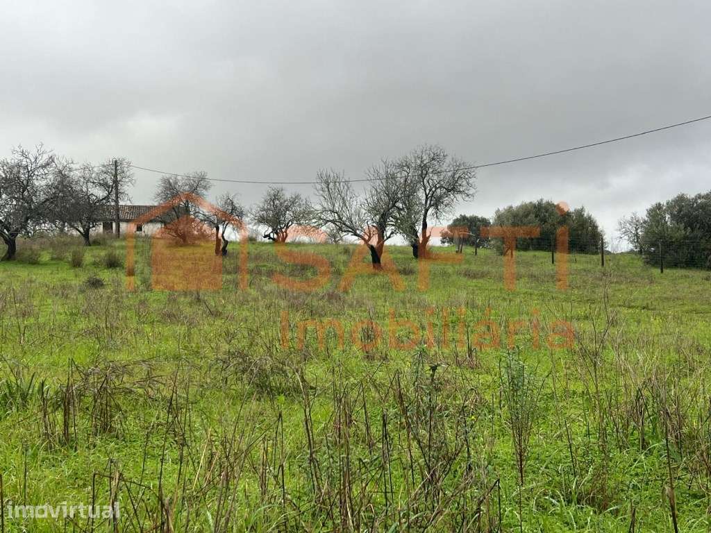 Terreno com projeto aprovado para moradia com piscina em Lagoa - Grande imagem: 4/6