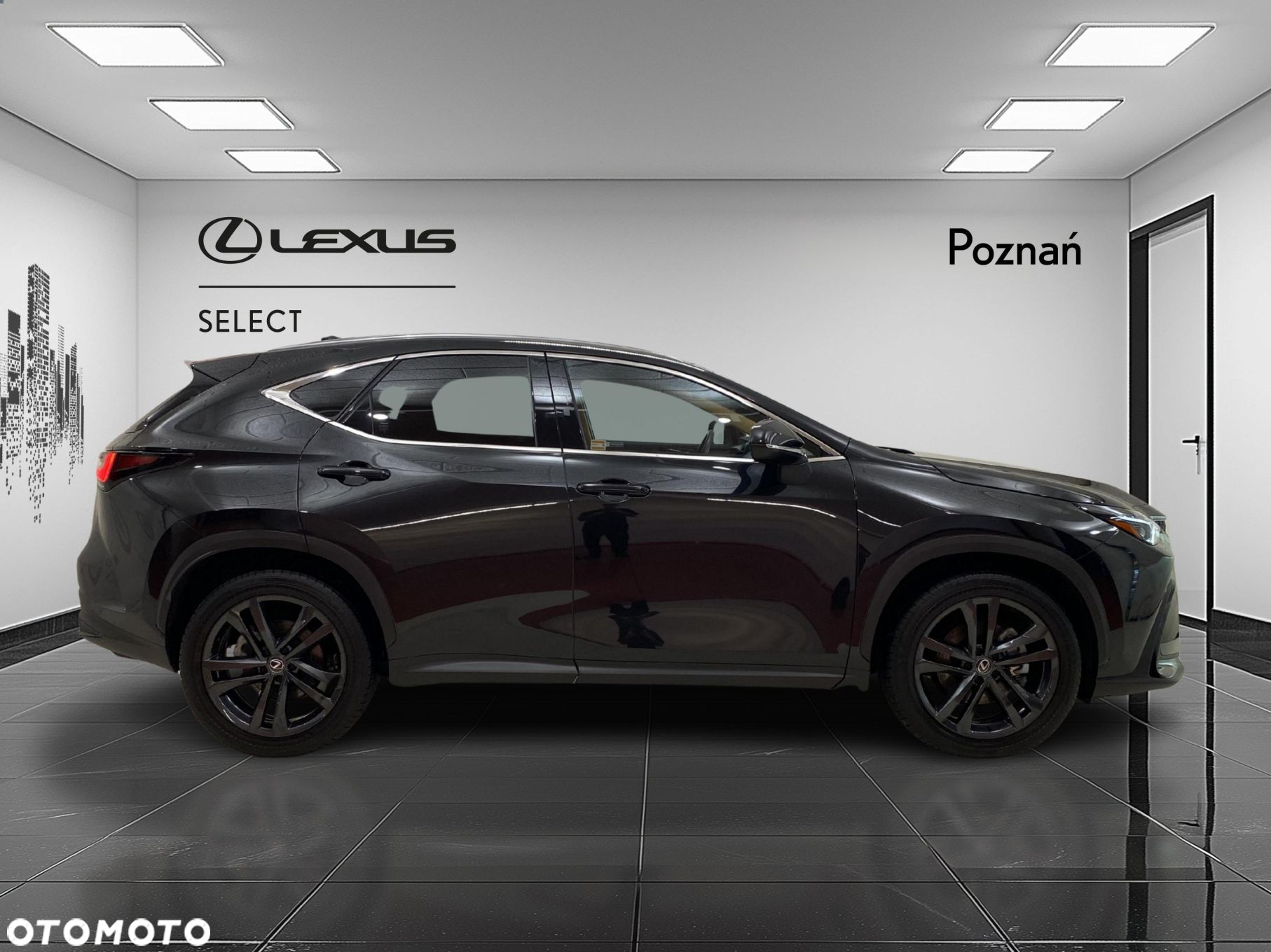 Lexus NX - 6