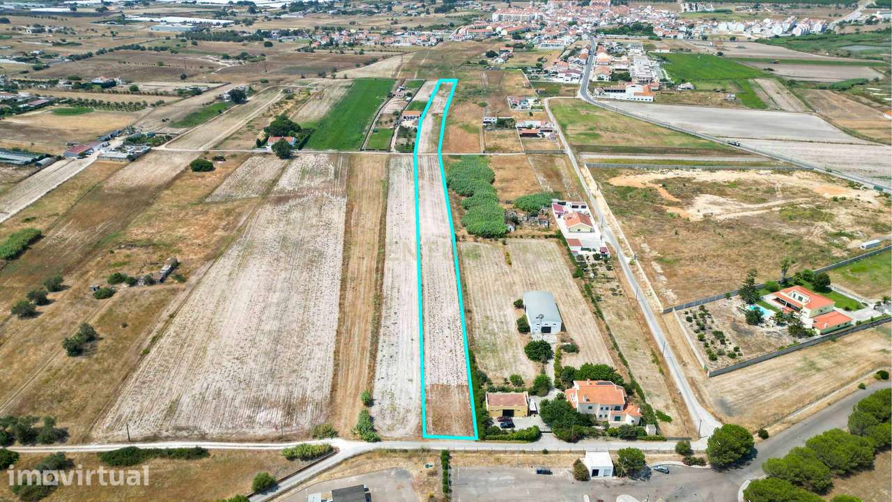 Terreno 1.6 Ha Samouco - Alcochete - Grande imagem: 4/18