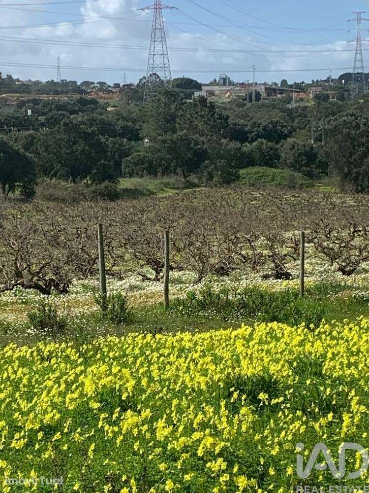 Terreno Agrícola em Palmela - Grande imagem: 5/12