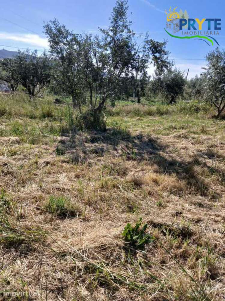 Terreno com possibilidade de construção em Montes da Senhora - Grande imagem: 3/26