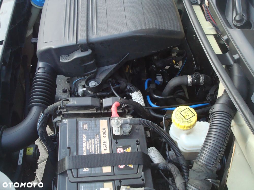 Fiat Panda 1.2 Alessi - 22