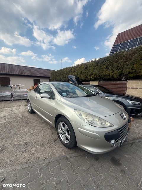 Peugeot 307 1.6 Trendy - 20