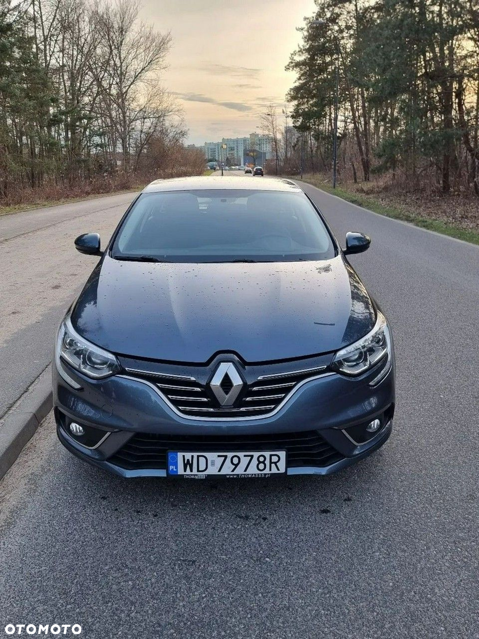 Renault Megane 1.3 TCe FAP Business - 20