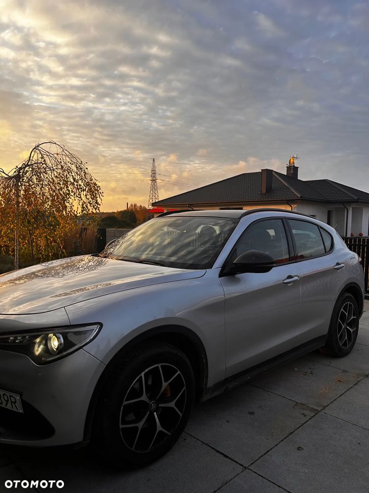Alfa Romeo Stelvio 2.0 Turbo Executive Q4 - 5