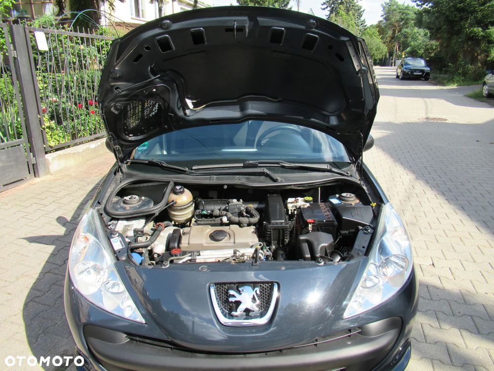 Peugeot 206 plus 60 - 34
