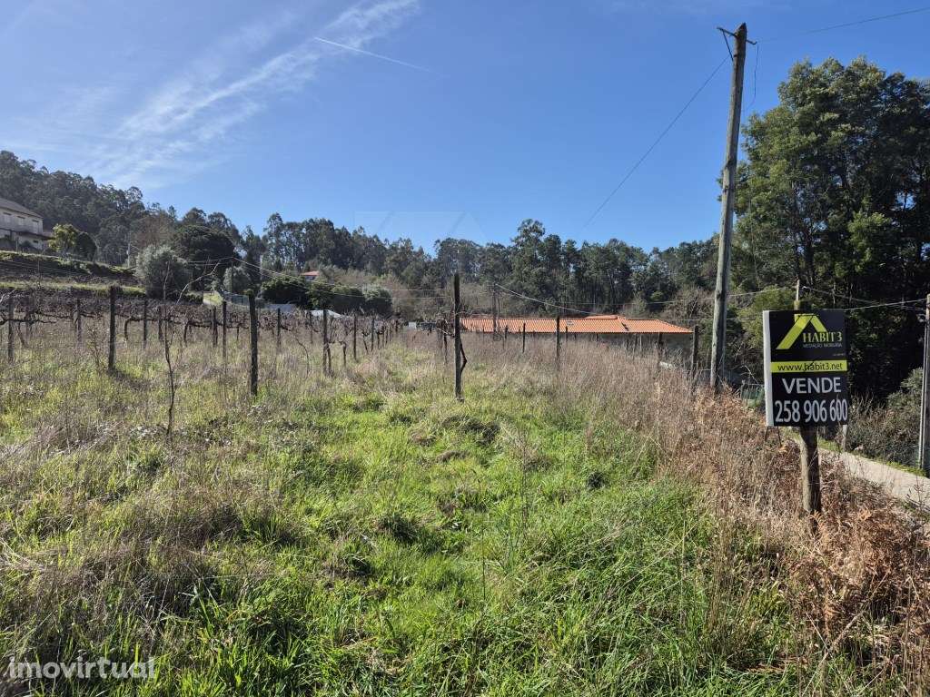 Terreno para Construção de Moradia - Grande imagem: 2/7