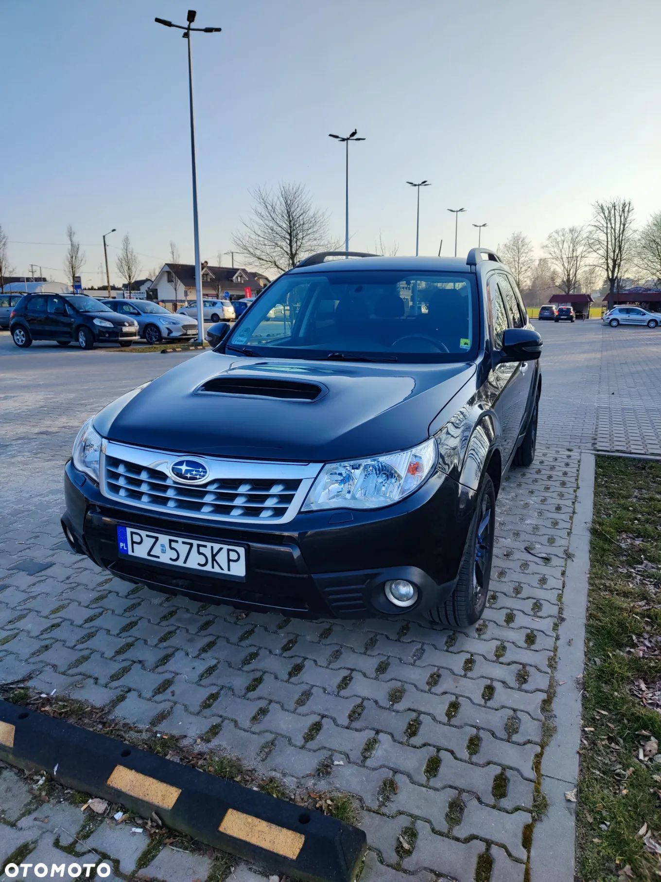 Subaru Forester - 1