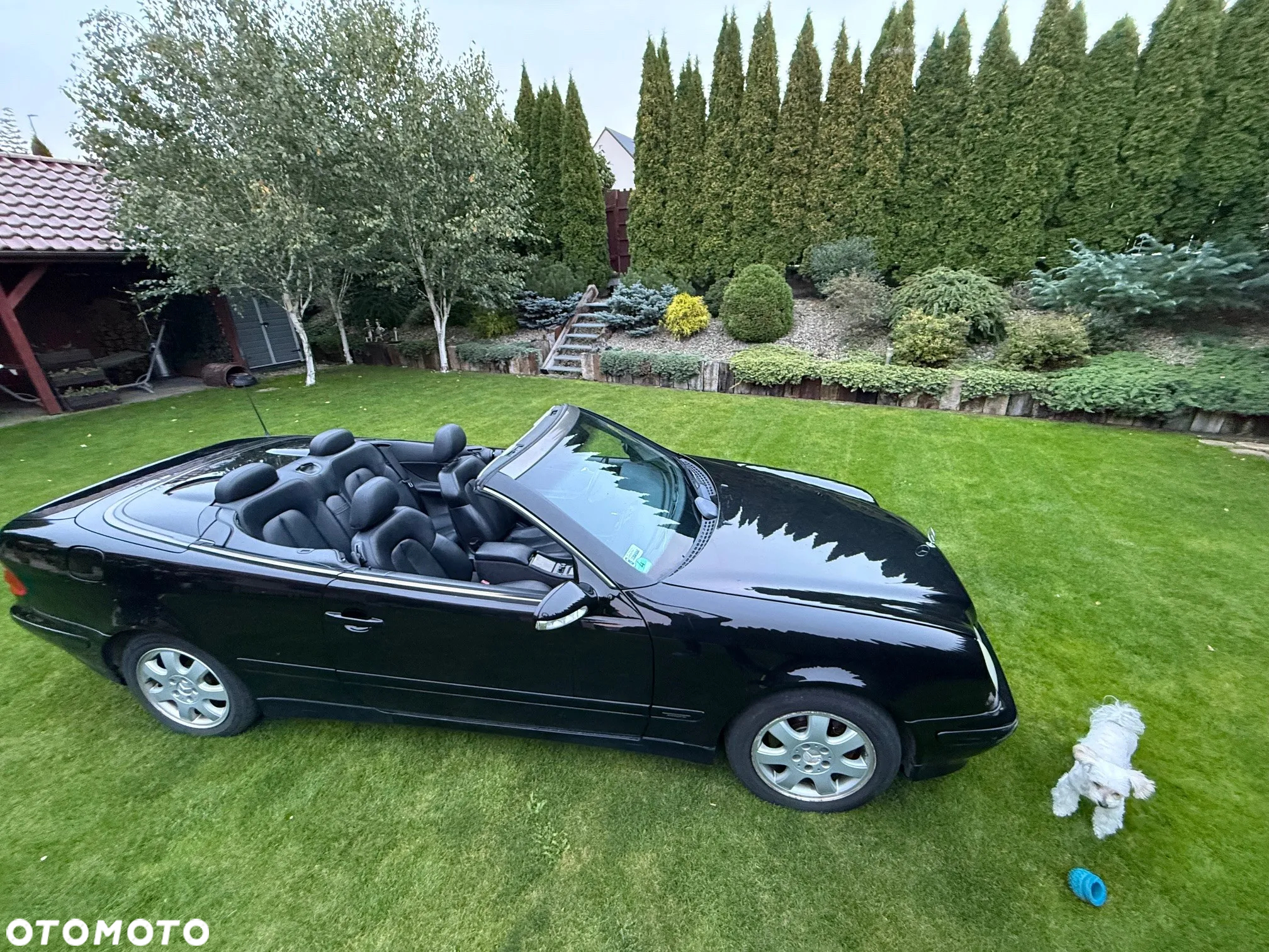 Mercedes-Benz CLK - 3