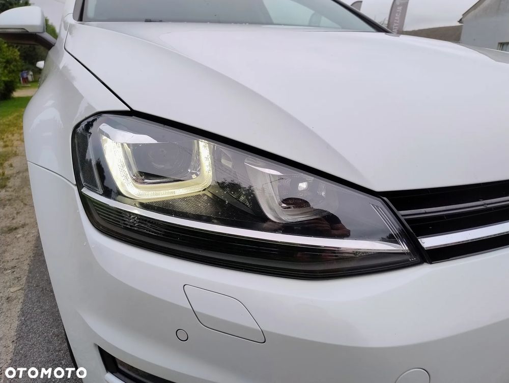 Volkswagen Golf - 28
