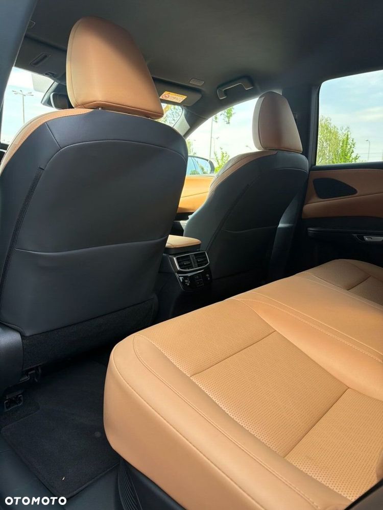 Lexus RX - 23
