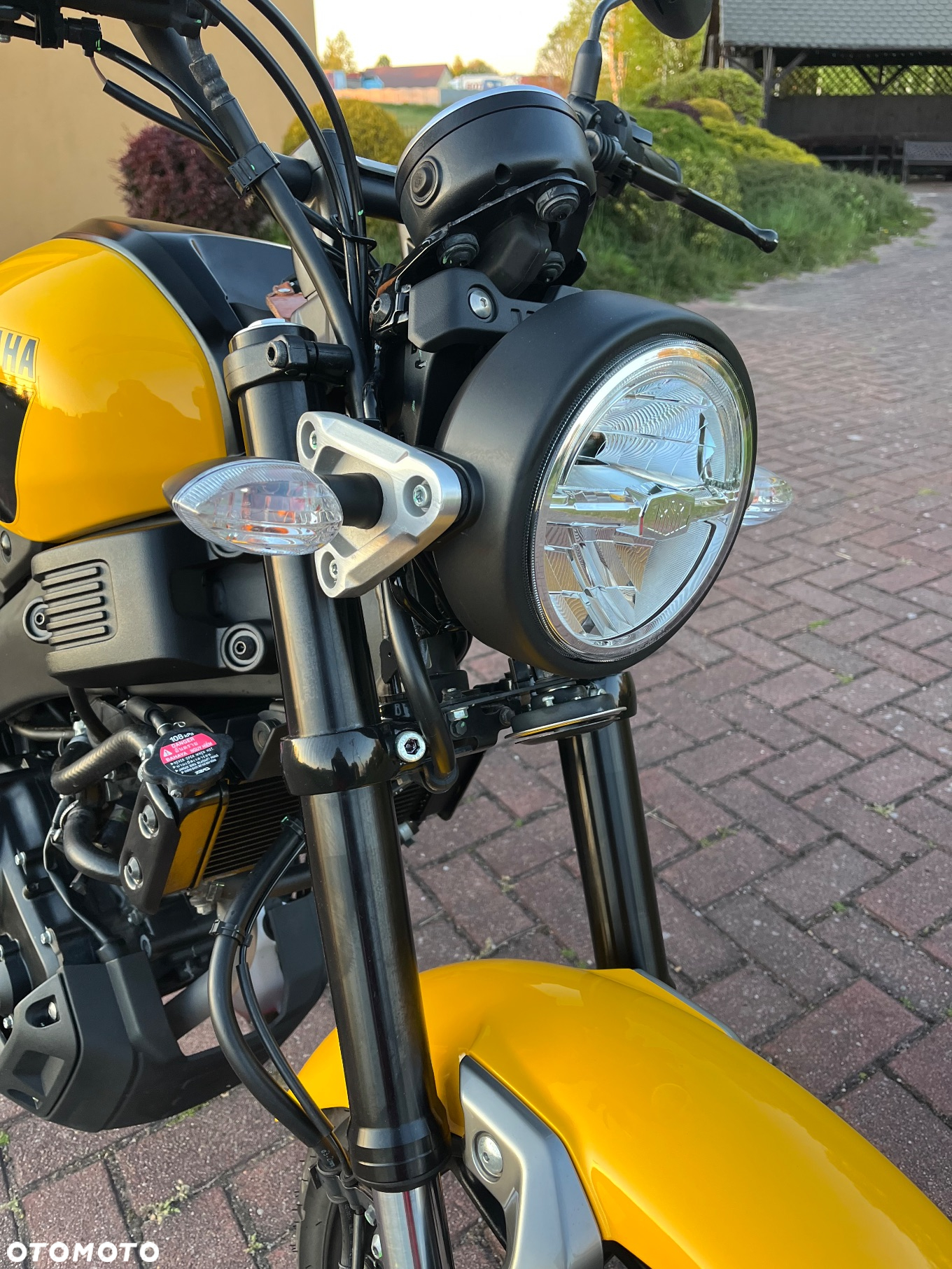 Yamaha XSR - 7