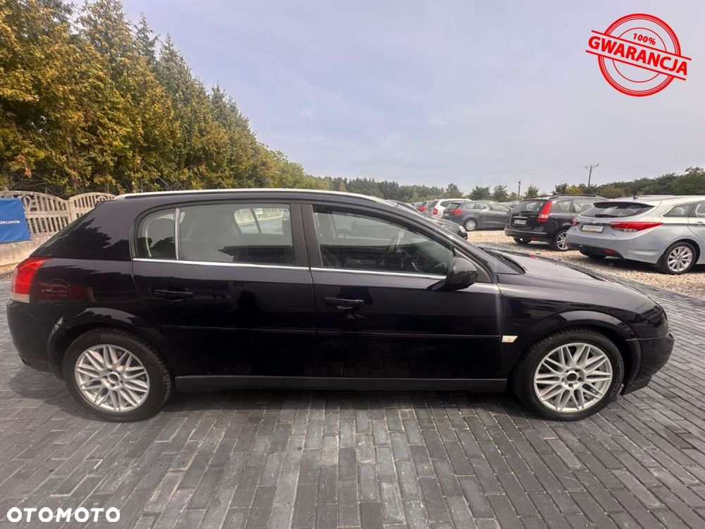 Opel Signum - 14