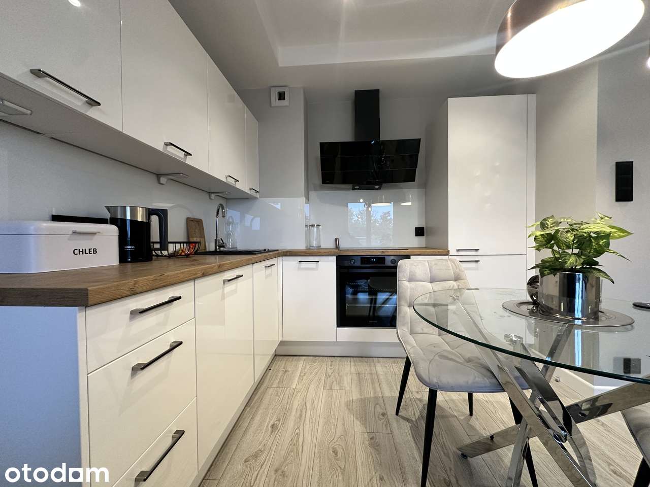2 pokoje, mieszkanie na wynajem - Zielona Góra, lubuskie - 68561836 • www.otodom.pl