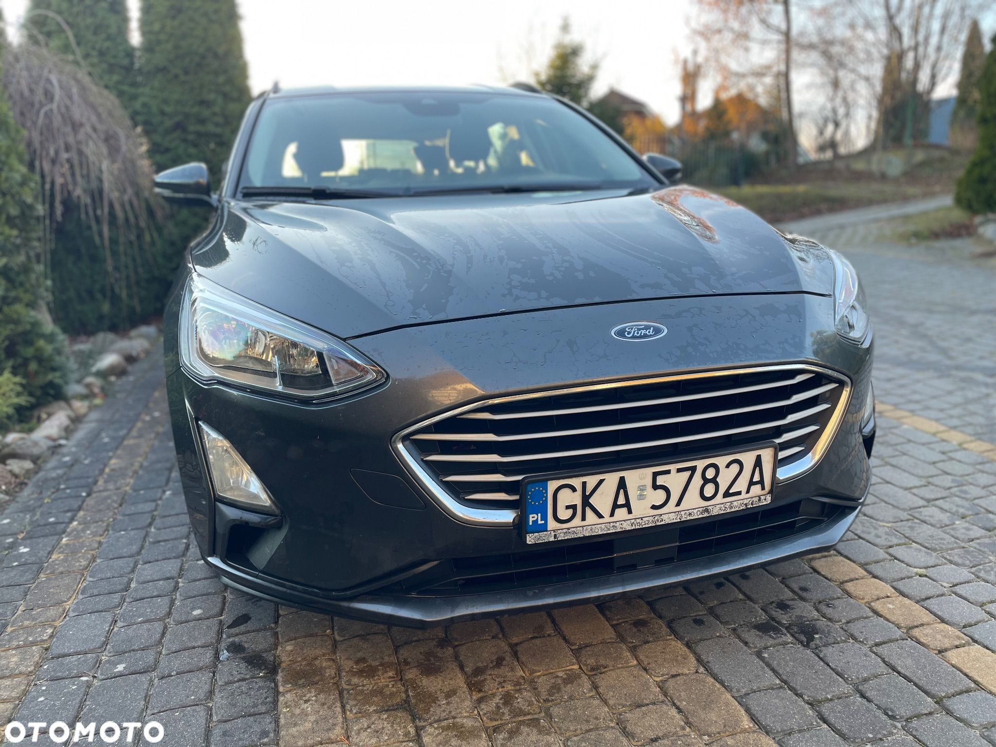 Ford Focus - 1