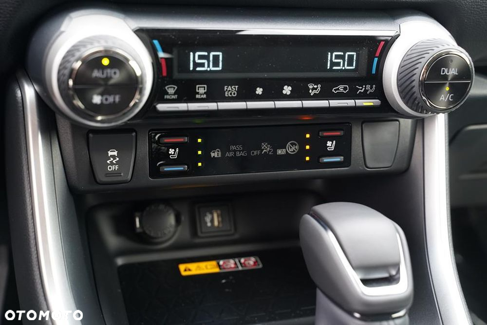 Toyota RAV4 2.5 Hybrid Executive 4x2 - 19