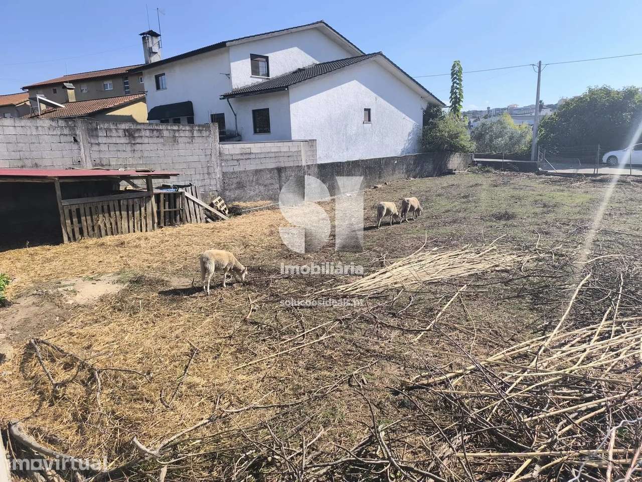 Terreno para construção / Vila nova de poiares - Grande imagem: 3/15