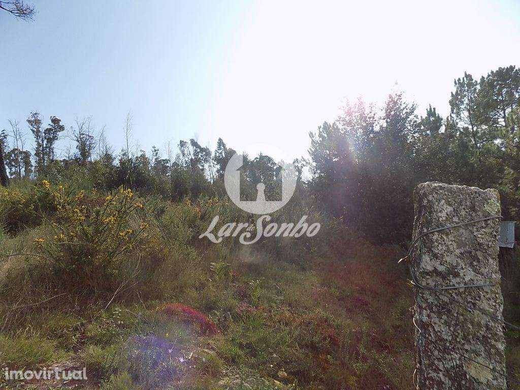 Terreno rústico com 6247m2 em Arnoso Sta. Eulália, Vila Nova Famali... - Grande imagem: 3/4