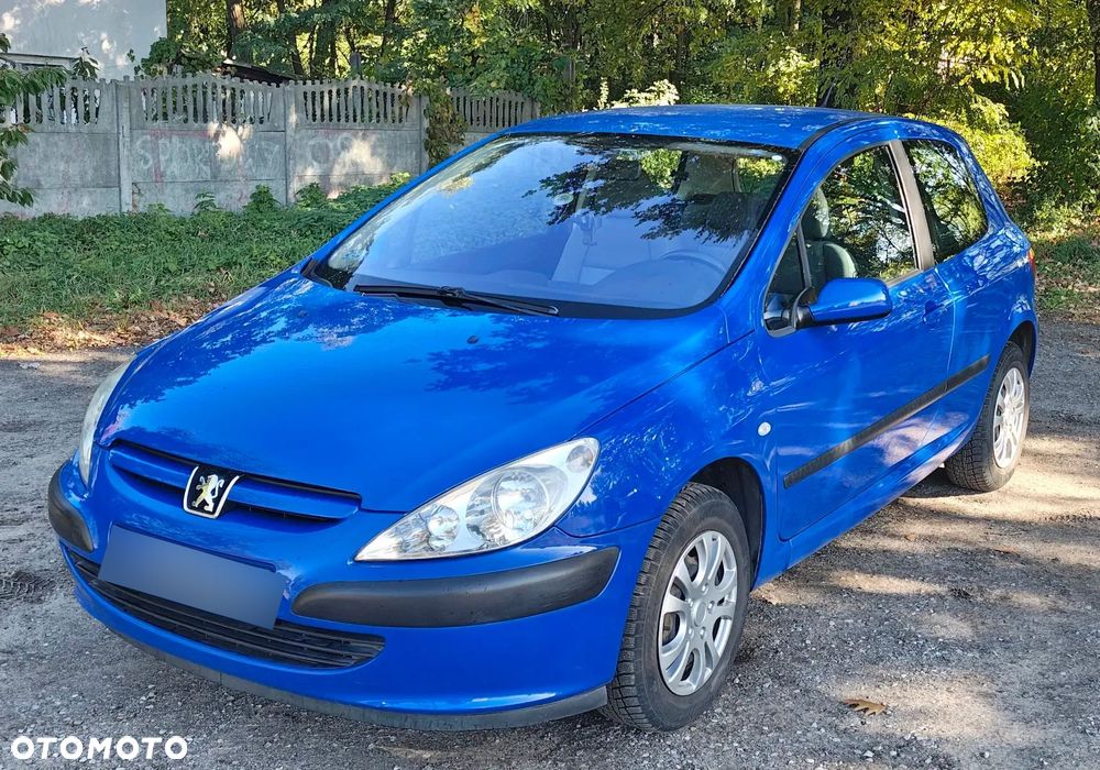Peugeot 307 2001 photo 3