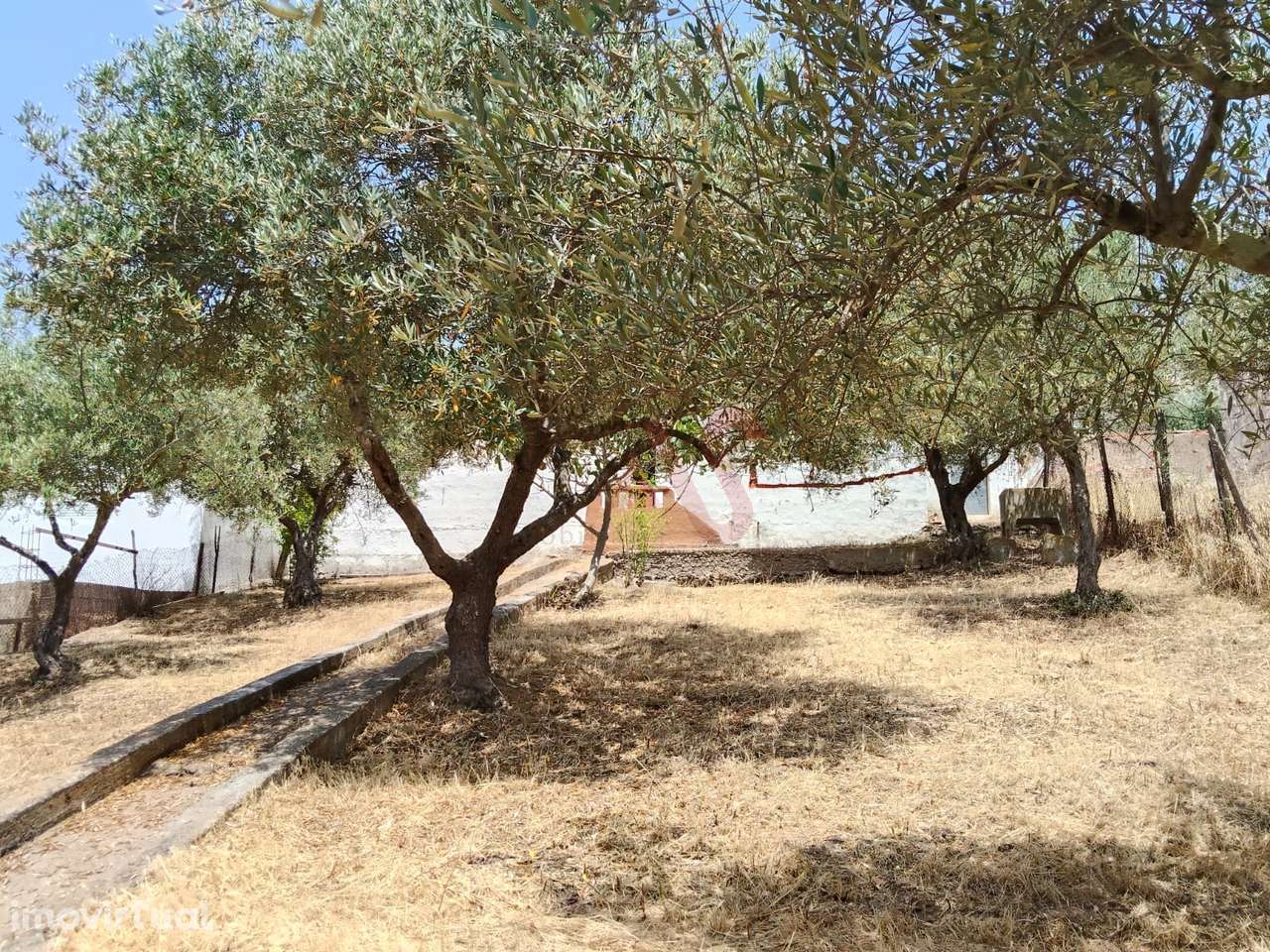 Moradia T1 Térrea para Restaurar em Santo Aleixo da Restauração – Mour - Grande imagem: 3/16