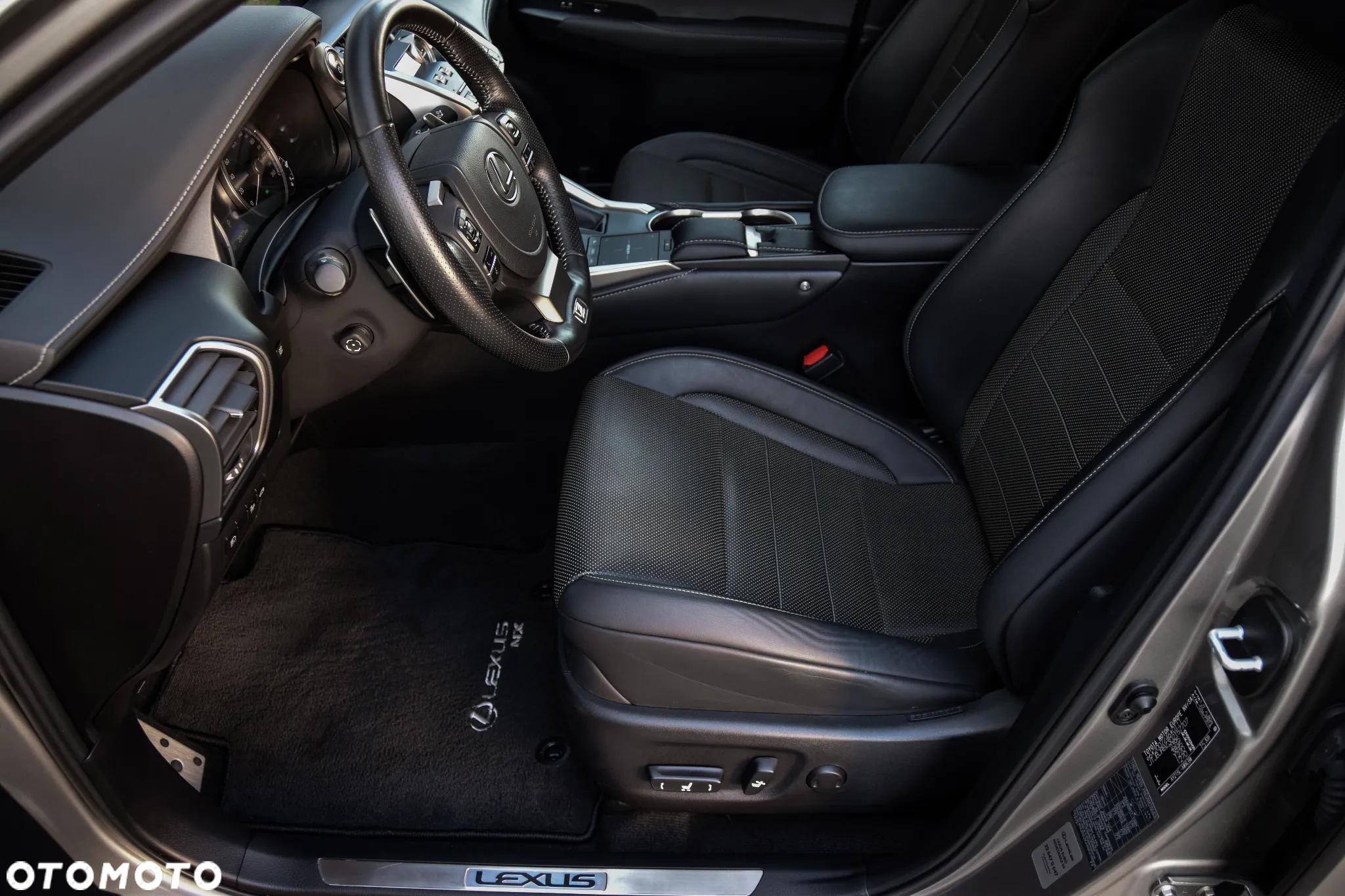 Lexus NX 300h F Sport Edition AWD - 9