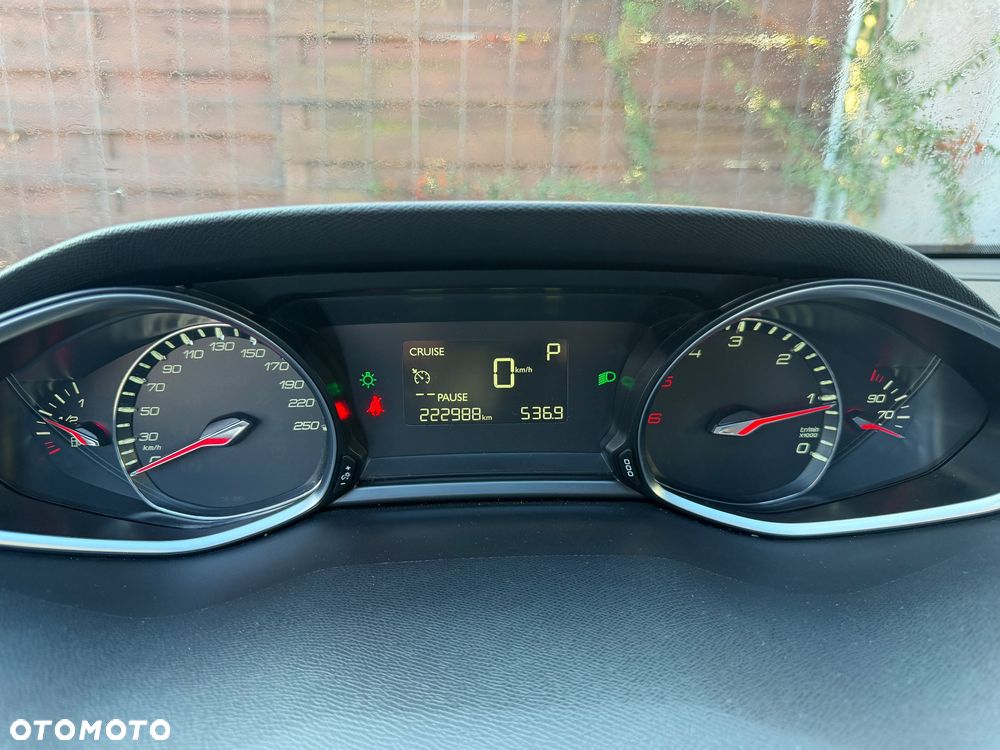 Peugeot 308 1.6 BlueHDi Active S&S - 21