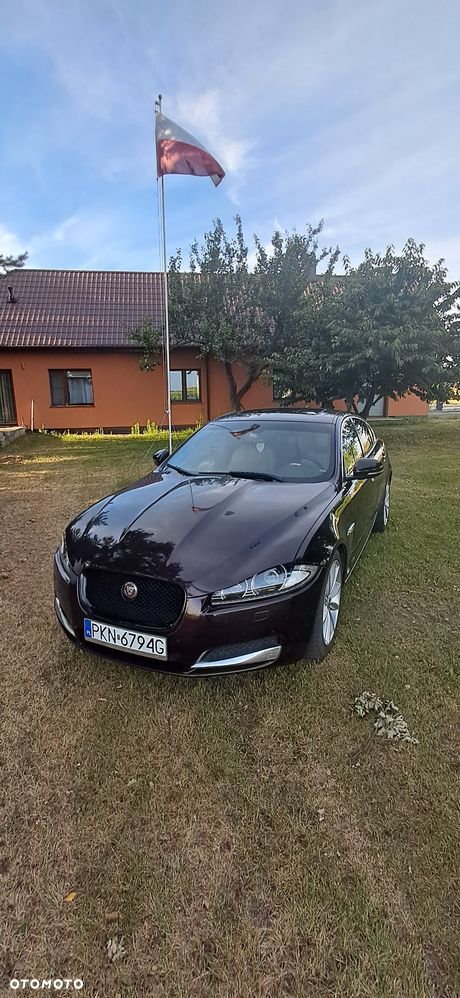 Jaguar XF 2.2 D Premium Luxury - 1