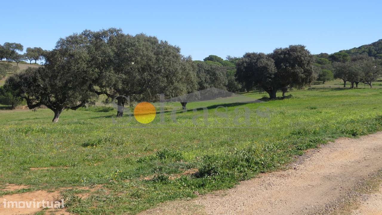 Terreno rústico de 13620 m² em Alcácer do Sal - Grande imagem: 2/7