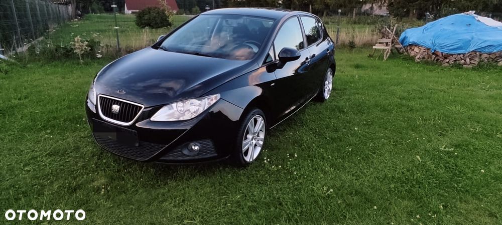 Seat Ibiza 2008 photo 2