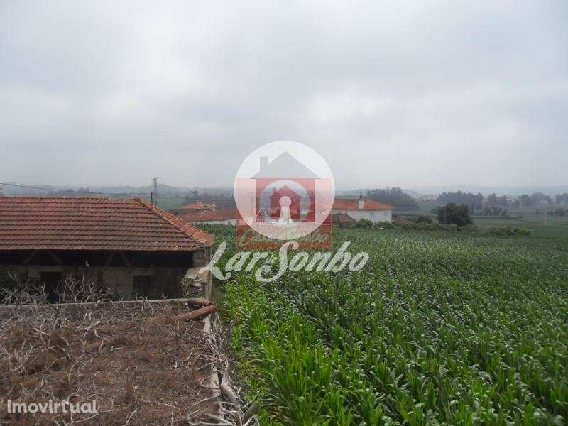 Moradia individual, para venda, Póvoa de Varzim - Rates - Grande imagem: 3/12