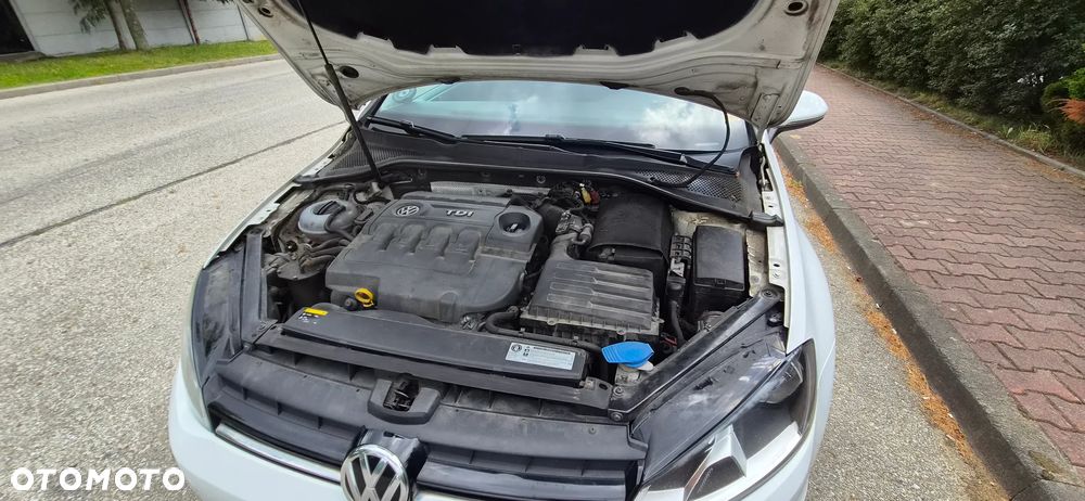 Volkswagen Golf 1.6 TDI Trendline DSG - 30