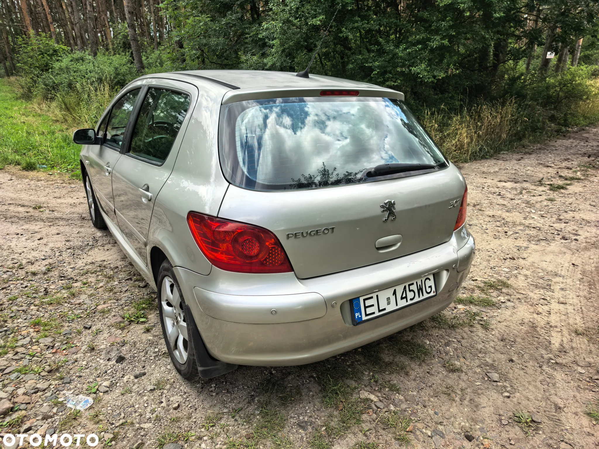 Peugeot 307 1.6 Oxygene - 9