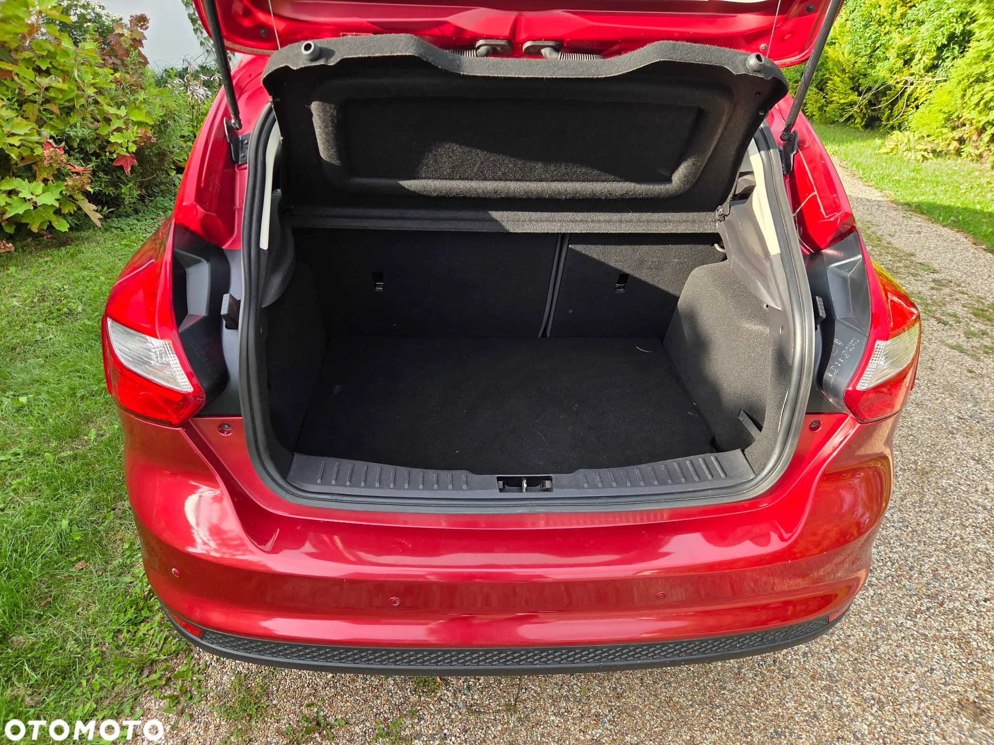 Ford Focus - 6