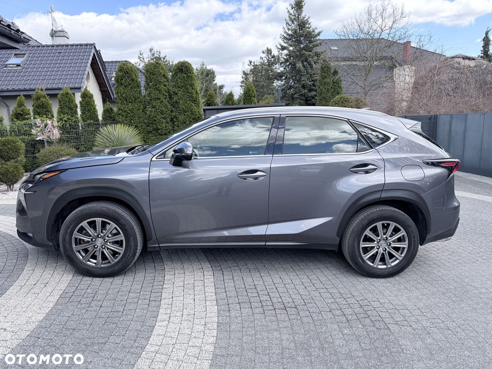 Lexus NX - 7