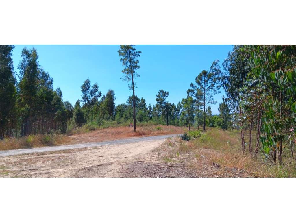 Terreno Rústico (Possibilidade de construção de Moradia ) - em Casa... - Grande imagem: 3/7