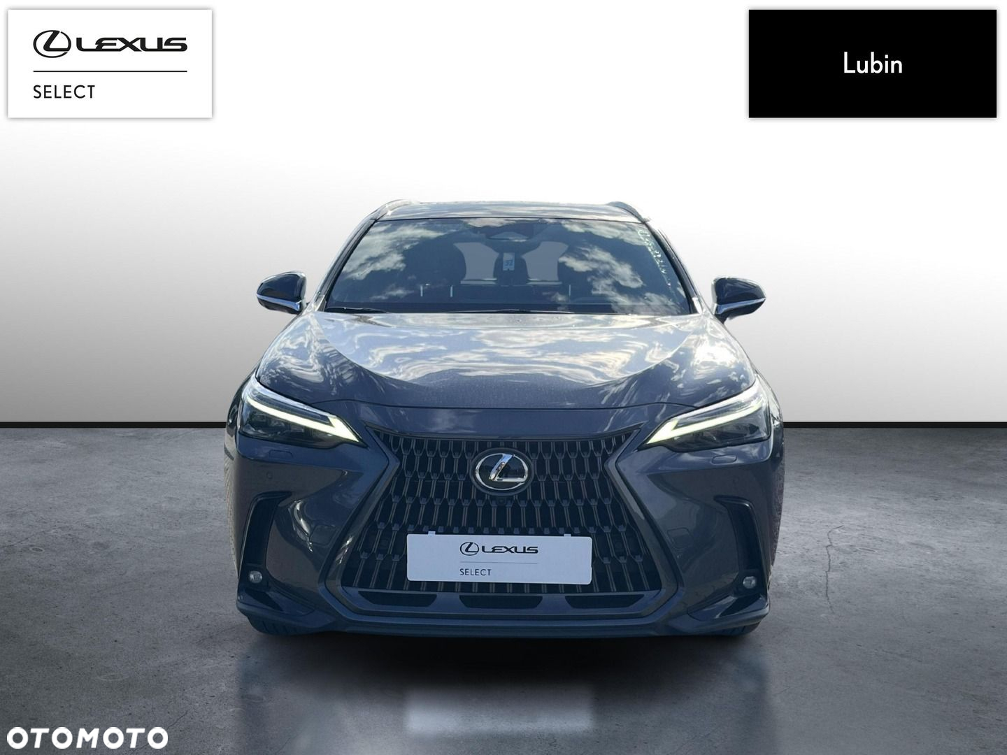 Lexus NX - 8
