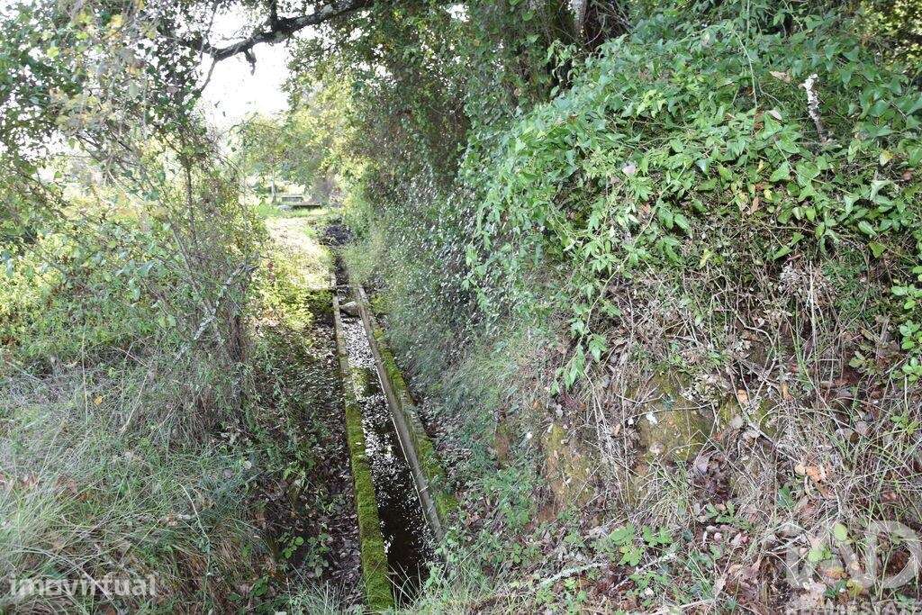 Terreno Agrícola em Freixianda, Ribeira do Fárrio e Formigais - Grande imagem: 3/40