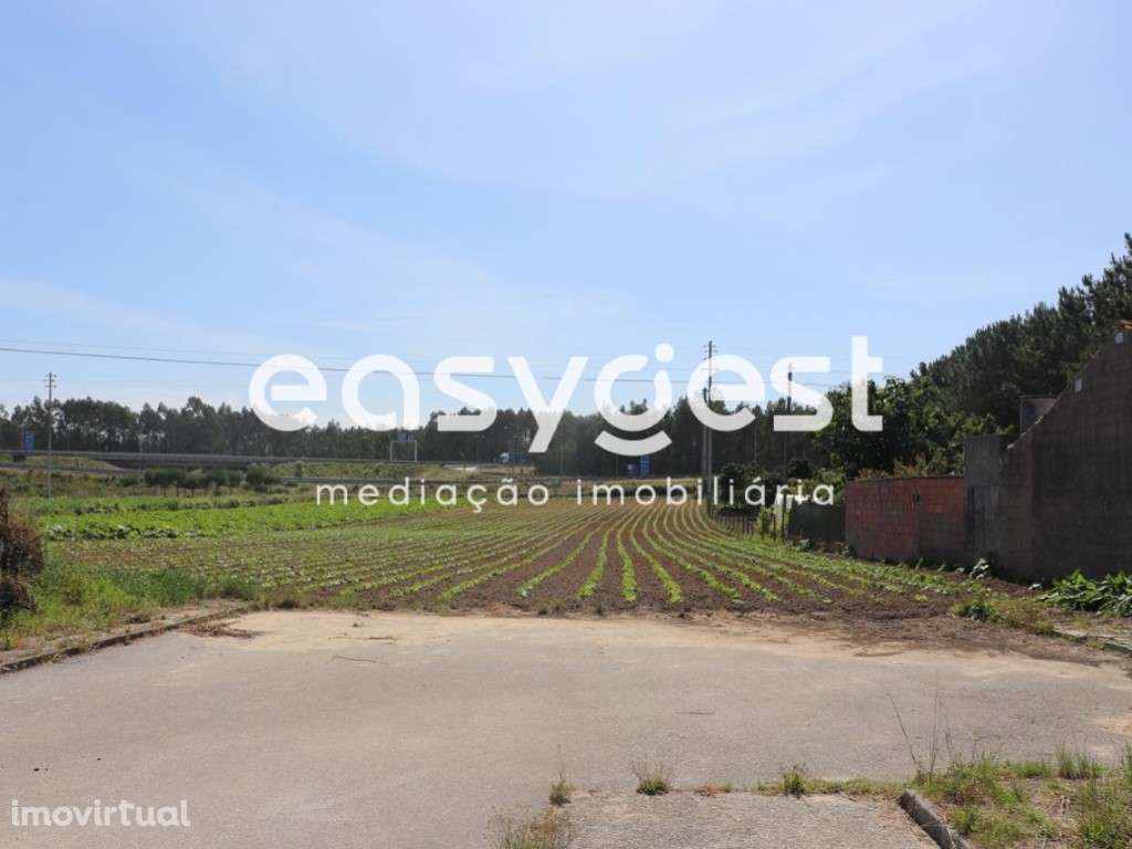 Terreno Rústico com viabilidade de construção no Louriçal - Grande imagem: 3/11