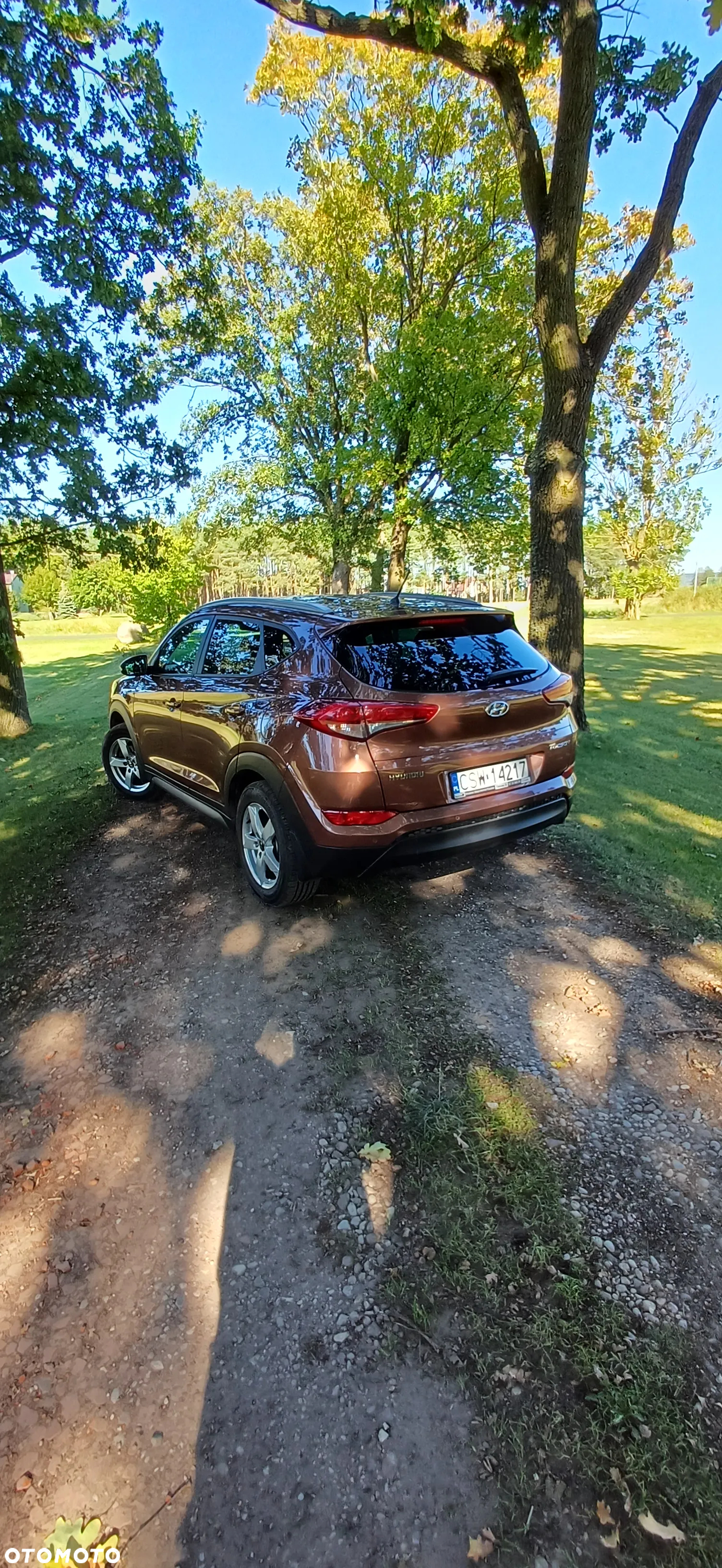 Hyundai Tucson 1.6 GDI BlueDrive Comfort 2WD - 13