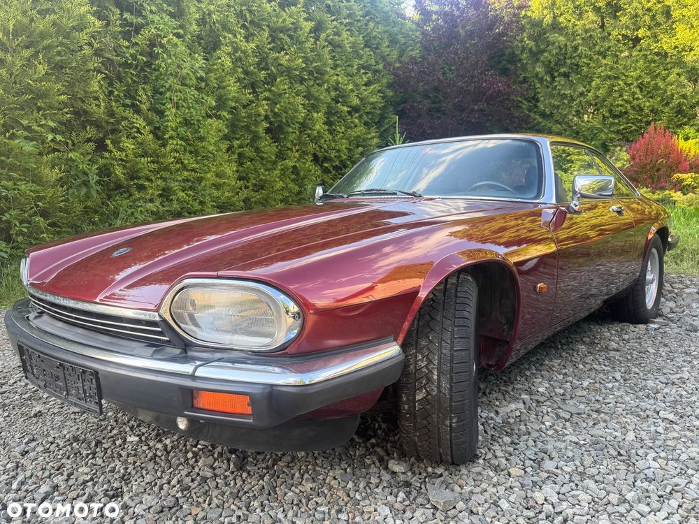 Jaguar XJS - 8